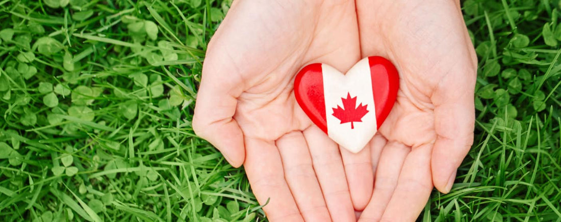 What Dating Apps Are Popular in Canada?