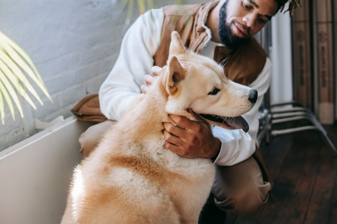 Why Is My Girlfriend Jealous Of My Dog?